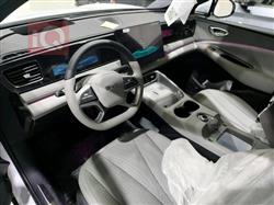 بي واي دي سيليون 06 DM-i